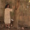 Kimono Eco Print - Image 4